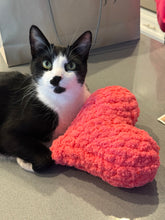 Load image into Gallery viewer, Heart Pillow