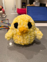 Load image into Gallery viewer, Just Hatched Chick