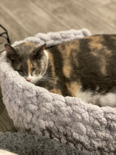 Load image into Gallery viewer, Blissful Cuddler (~13 inch)