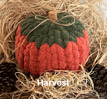 Load image into Gallery viewer, Pumpkin Patch