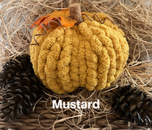 Load image into Gallery viewer, Pumpkin Patch