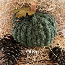 Load image into Gallery viewer, Pumpkin Patch