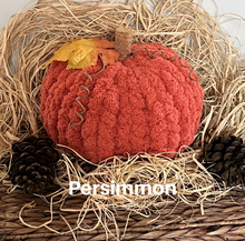 Load image into Gallery viewer, Pumpkin Patch