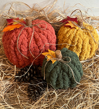 Load image into Gallery viewer, Pumpkin Patch