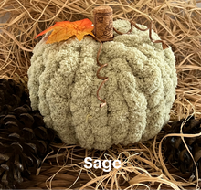 Load image into Gallery viewer, Pumpkin Patch