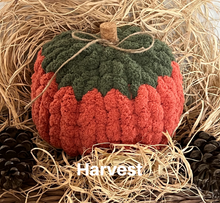 Load image into Gallery viewer, Pumpkin Patch
