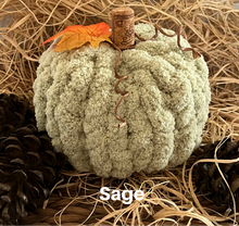 Load image into Gallery viewer, Pumpkin Patch
